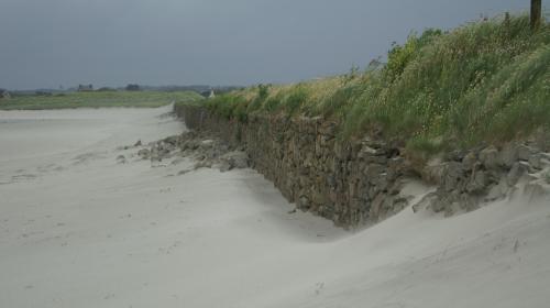 dig_nevez_2007_05_27.jpg
