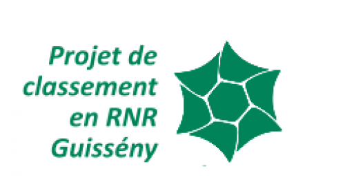 logo_rn_projet_gny.png